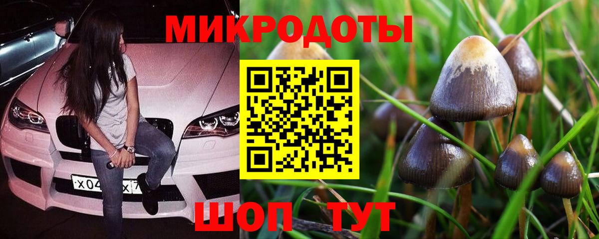Галлюциногенные грибы GOLDEN TEACHER Вичуга