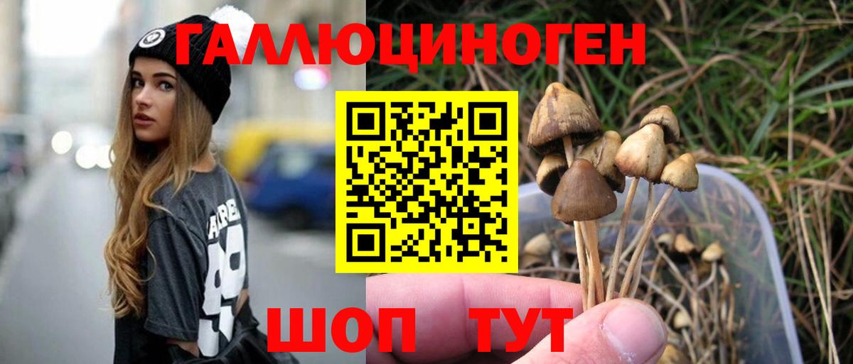 Вичуга  как найти наркотики  Вход с VPN  Псилоцибиновые грибы MAGIC MUSHROOMS 